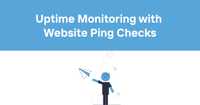 Uptime Monitoring with Website Ping Checks