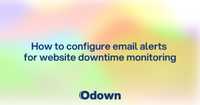 How to configure email alerts for website downtime monitoring