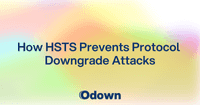 How HSTS Prevents Protocol Downgrade Attacks