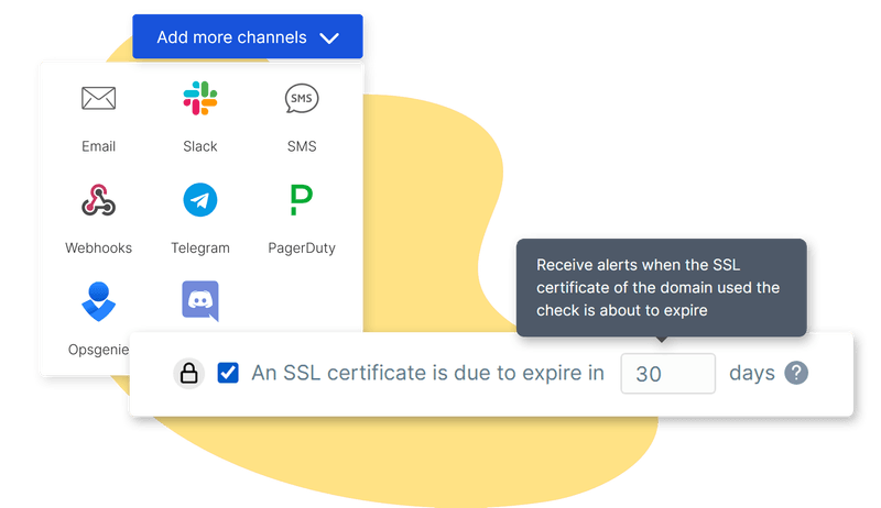 SSL Certificate Monitoring - Get notified immediately
