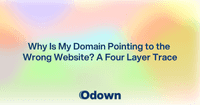 Why Is My Domain Pointing to the Wrong Website?