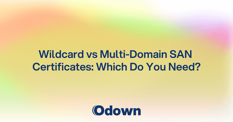 Wildcard vs Multi-Domain SAN: Which Do You Need?