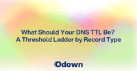 What Should Your DNS TTL Be? Values by Record Type