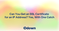 Can You Get an SSL Certificate for an IP Address?