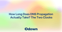 How Long Does DNS Propagation Actually Take?